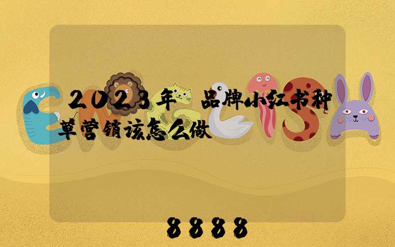 2023年,品牌小红书种草营销该怎么做