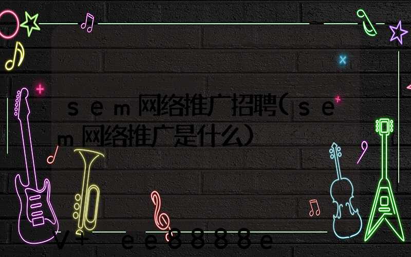 sem网络推广招聘(sem网络推广是什么)