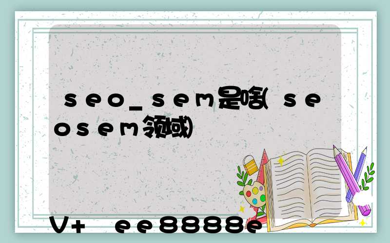 seo_sem是啥(seosem领域)