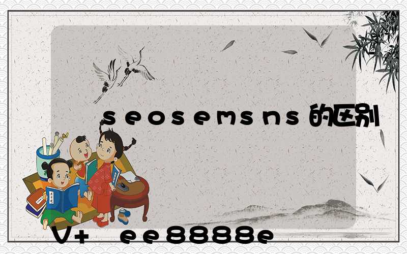 seosemsns的区别