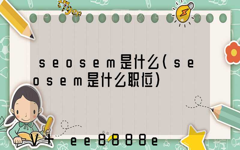 seosem是什么(seosem是什么职位)