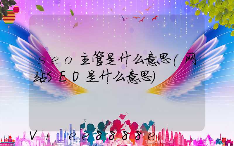 seo主管是什么意思(网站SEO是什么意思)