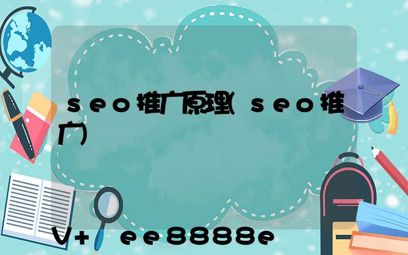 seo推广原理(seo推广)