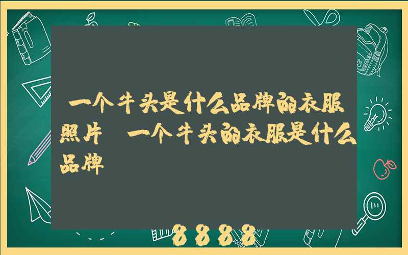 一个牛头是什么品牌的衣服照片(一个牛头的衣服是什么品牌)