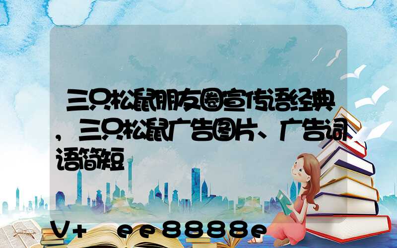 三只松鼠朋友圈宣传语经典,三只松鼠广告图片、广告词语简短