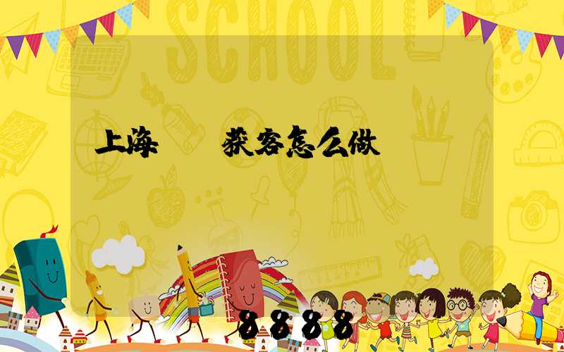 上海ai获客怎么做