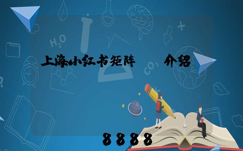 上海小红书矩阵ai介绍