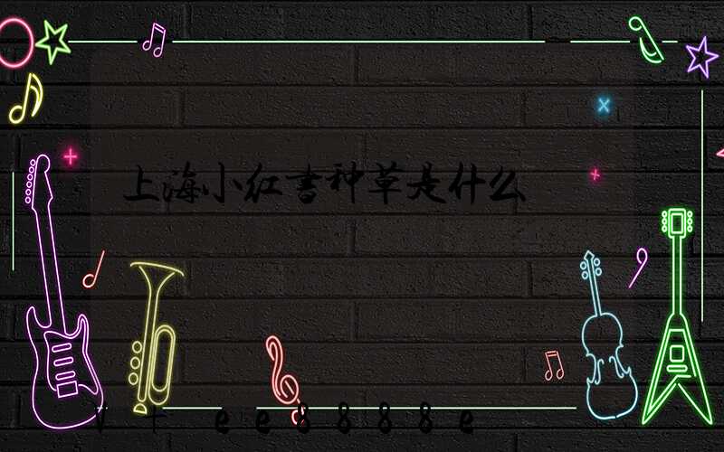 上海小红书种草是什么
