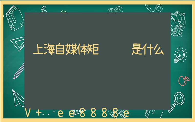 上海自媒体矩阵营销是什么