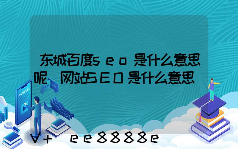 东城百度seo是什么意思呢(网站SEO是什么意思)