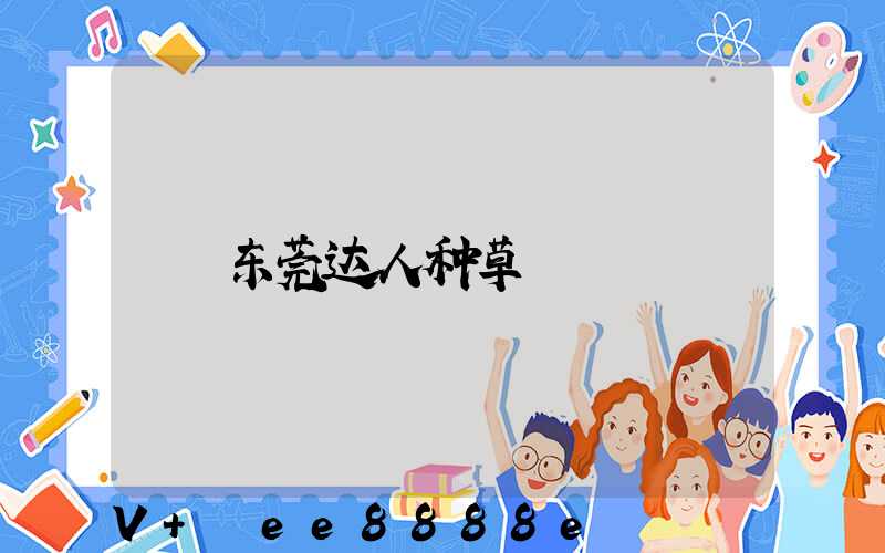 东莞达人种草
