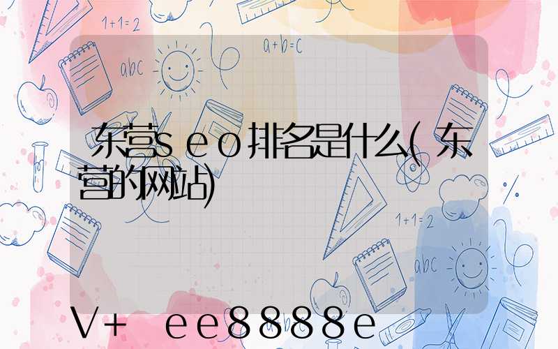 东营seo排名是什么(东营的网站)