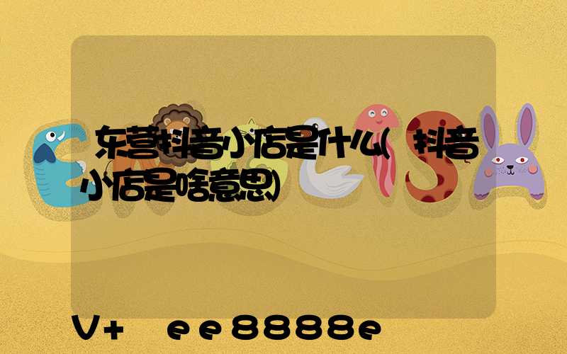 东营抖音小店是什么(抖音小店是啥意思)