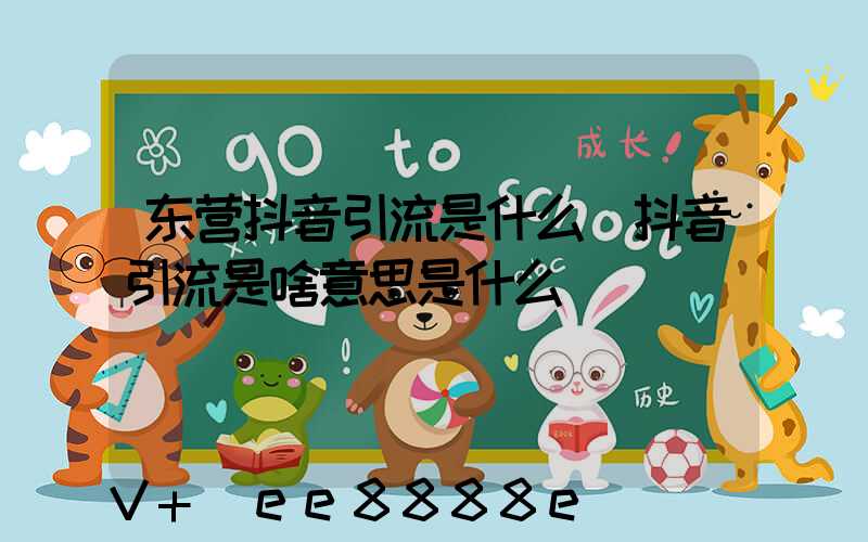 东营抖音引流是什么(抖音引流是啥意思是什么)