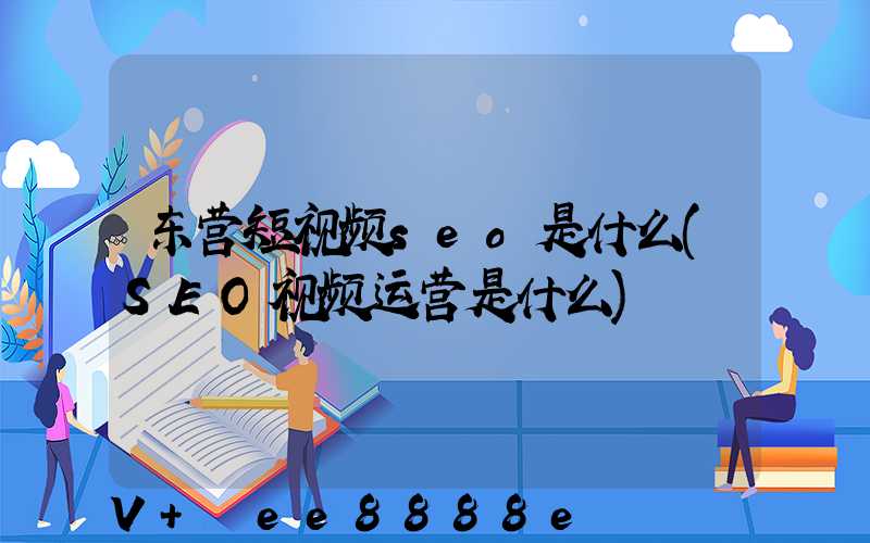东营短视频seo是什么(SEO视频运营是什么)