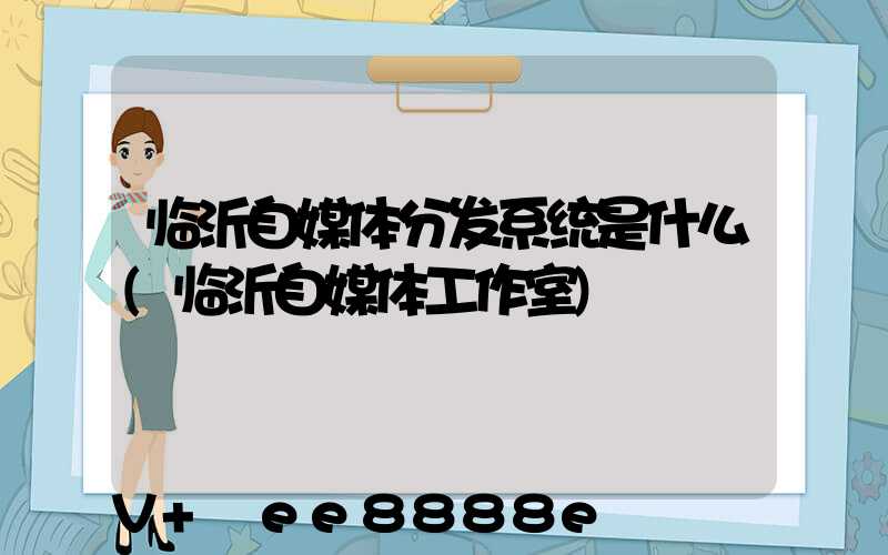 临沂自媒体分发系统是什么(临沂自媒体工作室)