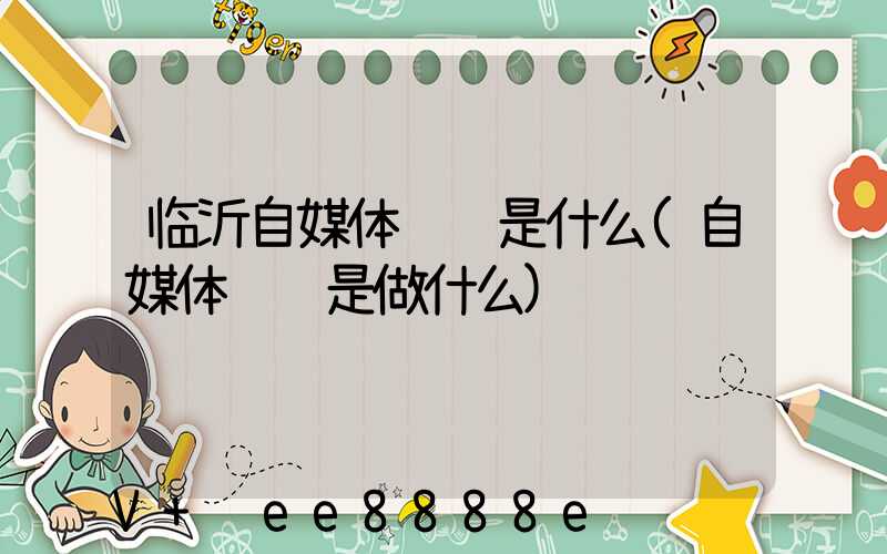 临沂自媒体营销是什么(自媒体营销是做什么)