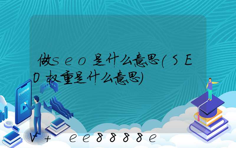 做seo是什么意思(SEO权重是什么意思)