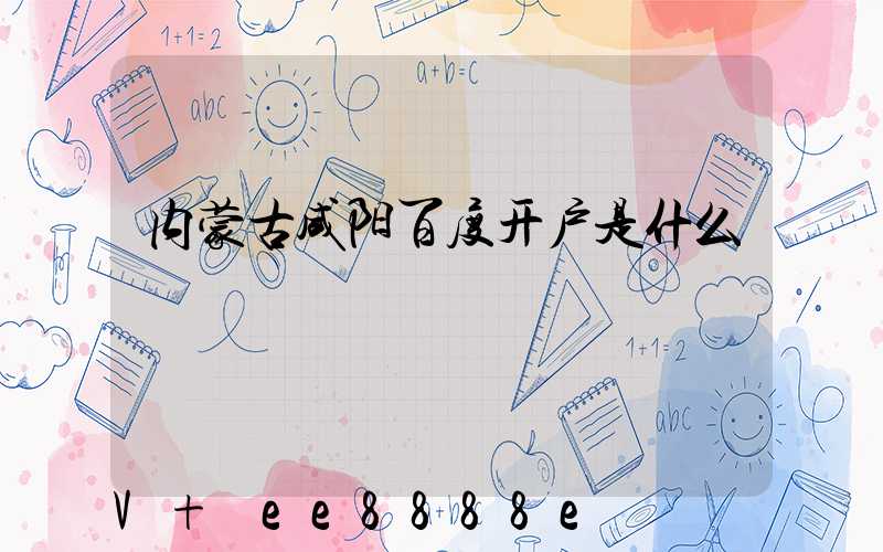 内蒙古咸阳百度开户是什么