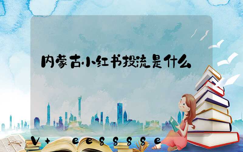 内蒙古小红书投流是什么