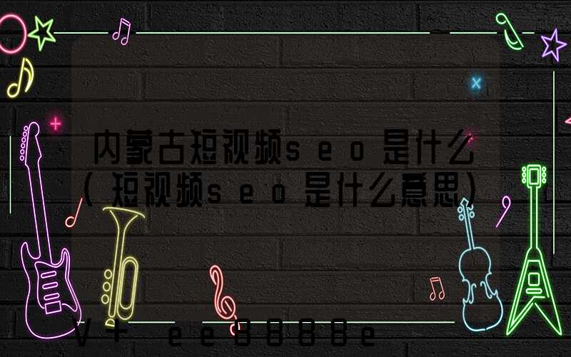 内蒙古短视频seo是什么(短视频seo是什么意思)