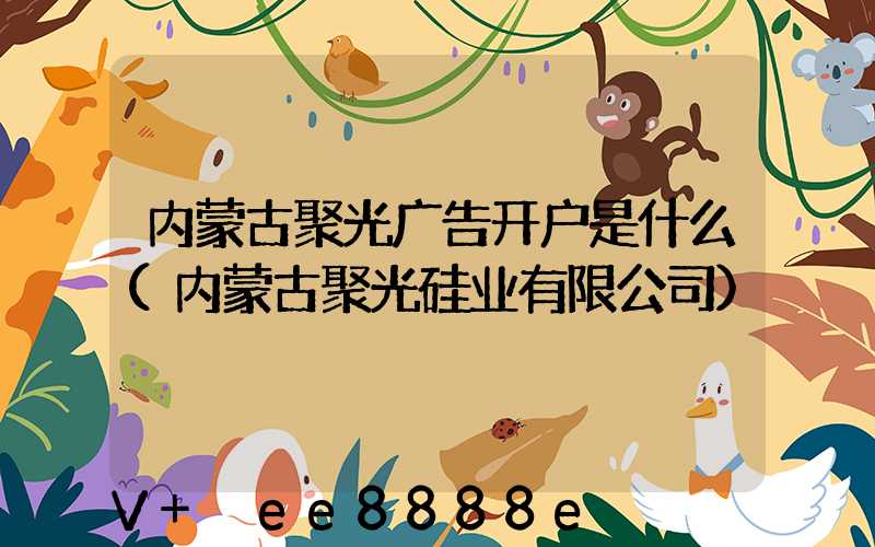内蒙古聚光广告开户是什么(内蒙古聚光硅业有限公司)