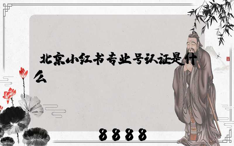 北京小红书专业号认证是什么