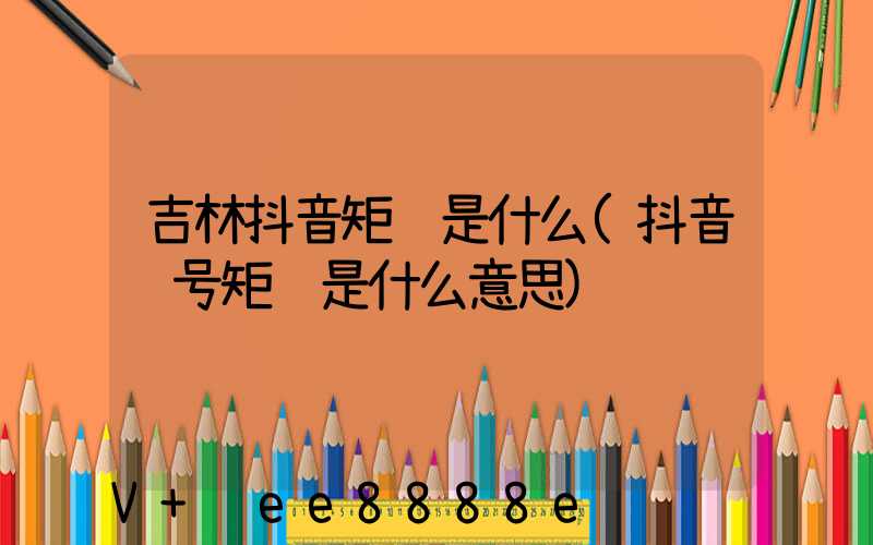 吉林抖音矩阵是什么(抖音账号矩阵是什么意思)
