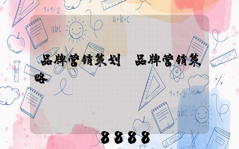 品牌营销策划(品牌营销策略)