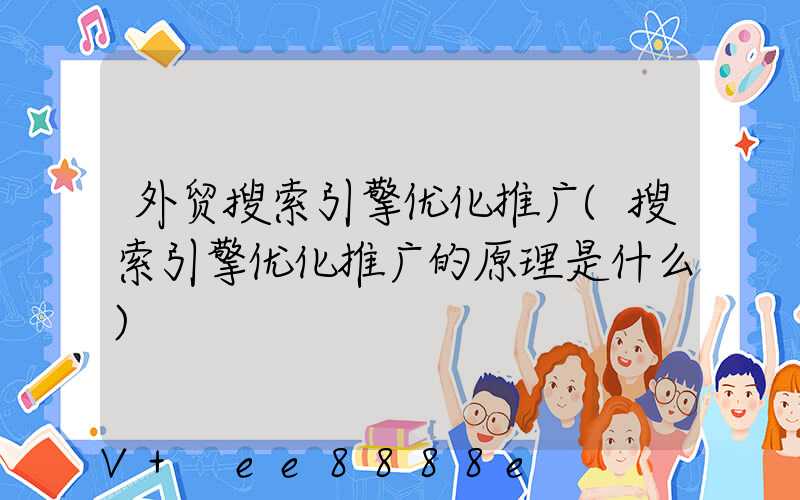 外贸搜索引擎优化推广(搜索引擎优化推广的原理是什么)