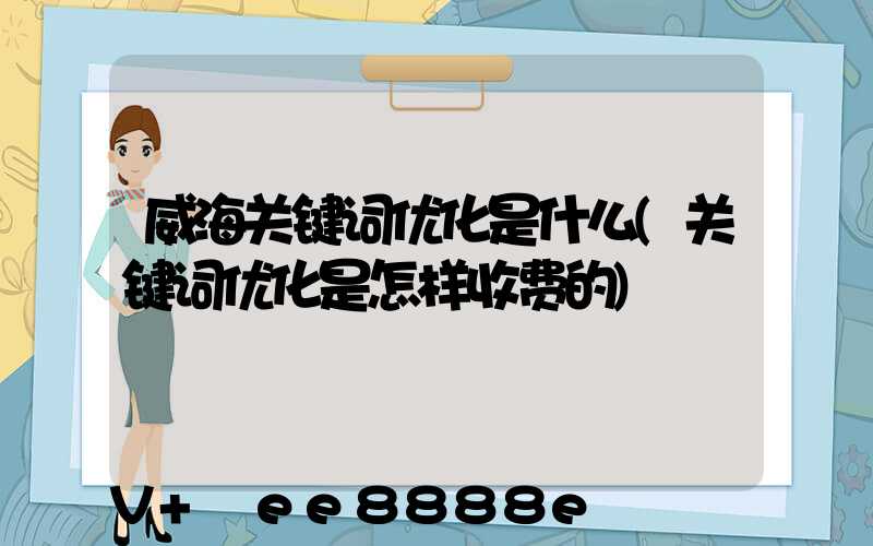 威海关键词优化是什么(关键词优化是怎样收费的)
