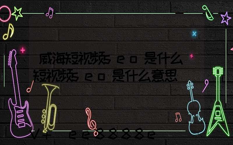 威海短视频seo是什么(短视频seo是什么意思)
