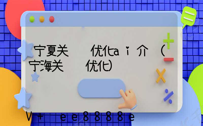 宁夏关键词优化ai介绍(宁海关键词优化)