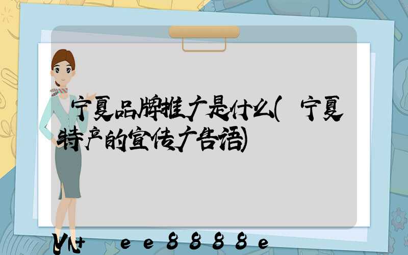 宁夏品牌推广是什么(宁夏特产的宣传广告语)