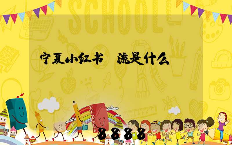 宁夏小红书投流是什么