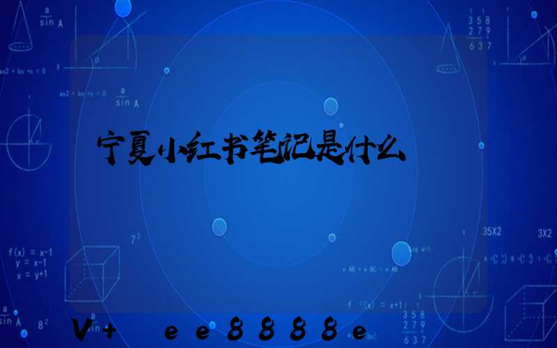 宁夏小红书笔记是什么