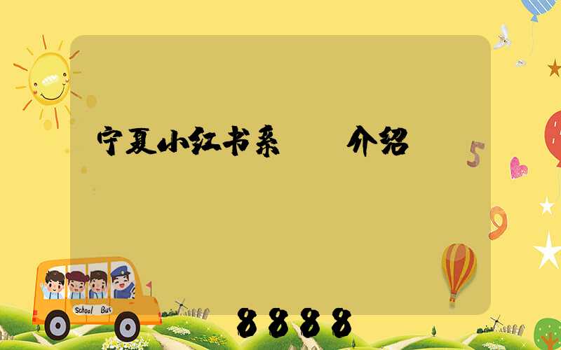 宁夏小红书系ai介绍