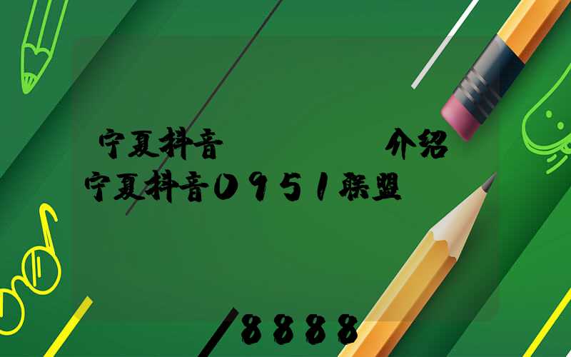 宁夏抖音seoai介绍(宁夏抖音0951联盟)