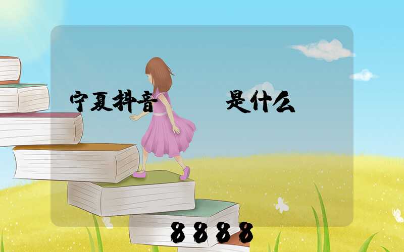 宁夏抖音seo是什么