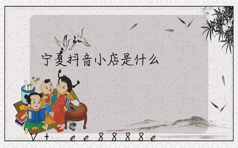 宁夏抖音小店是什么