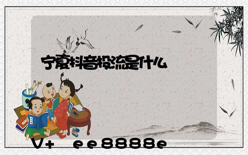 宁夏抖音投流是什么