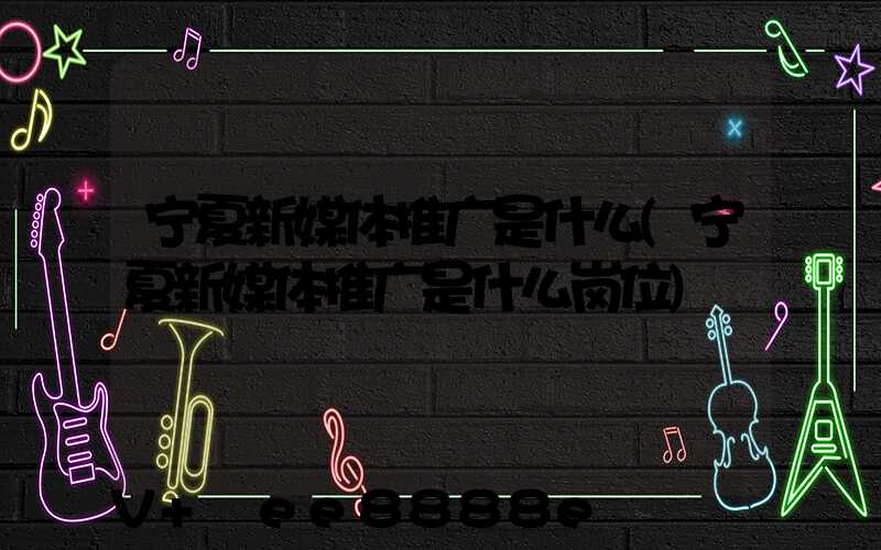 宁夏新媒体推广是什么(宁夏新媒体推广是什么岗位)