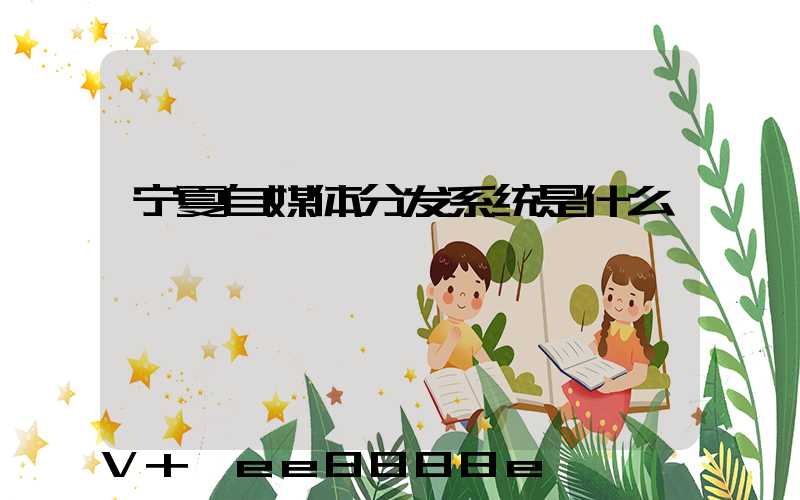 宁夏自媒体分发系统是什么