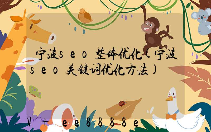 宁波seo整体优化(宁波seo关键词优化方法)