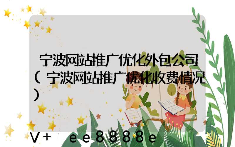 宁波网站推广优化外包公司(宁波网站推广优化收费情况)