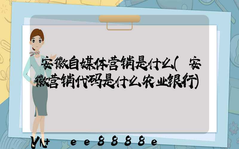 安徽自媒体营销是什么(安徽营销代码是什么农业银行)