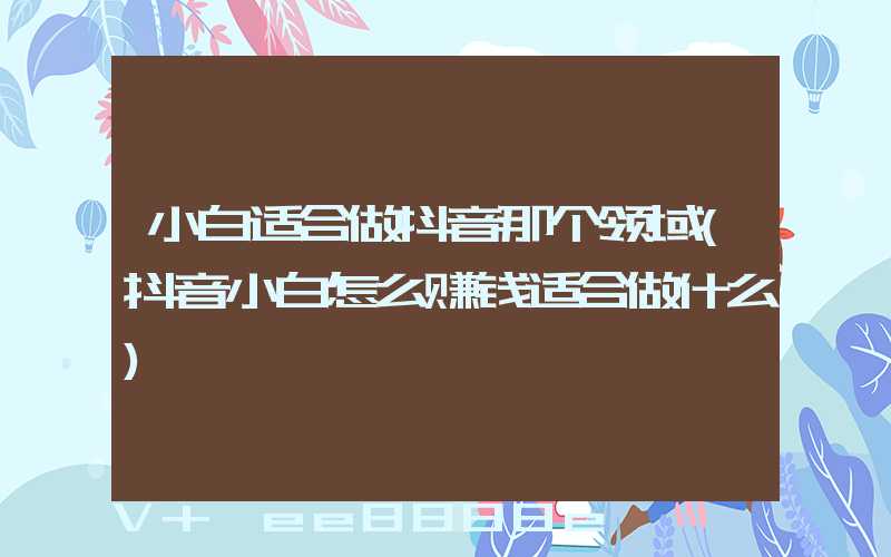 小白适合做抖音那个领域(抖音小白怎么赚钱适合做什么)