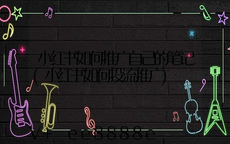 小红书如何推广自己的笔记(小红书如何投流推广)