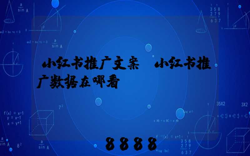 小红书推广文案(小红书推广数据在哪看)