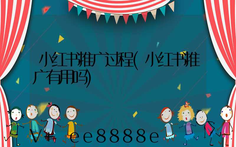 小红书推广过程(小红书推广有用吗)